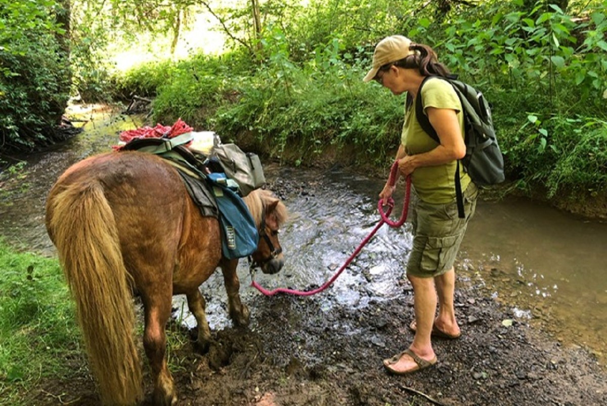 Abenteuer Heimat: Ponywandern rund um Mehren