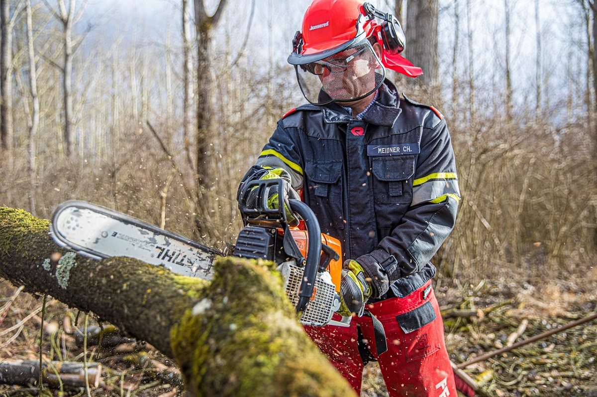 Richtig mit der Motorsge umgehen: Basiskurs der kvhs Altenkirchen fr liegendes Holz