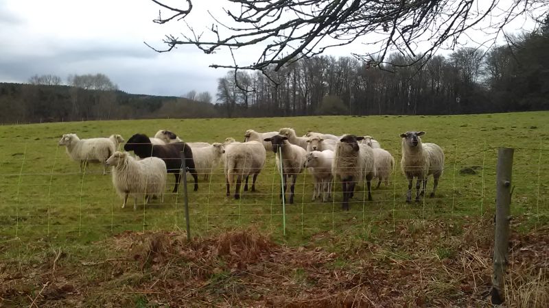 Schchten kann als Gesetzesversto mit Bugeldern bis 25.000 Euro geahndet werden. Foto: Pressestelle der Kreisverwaltung