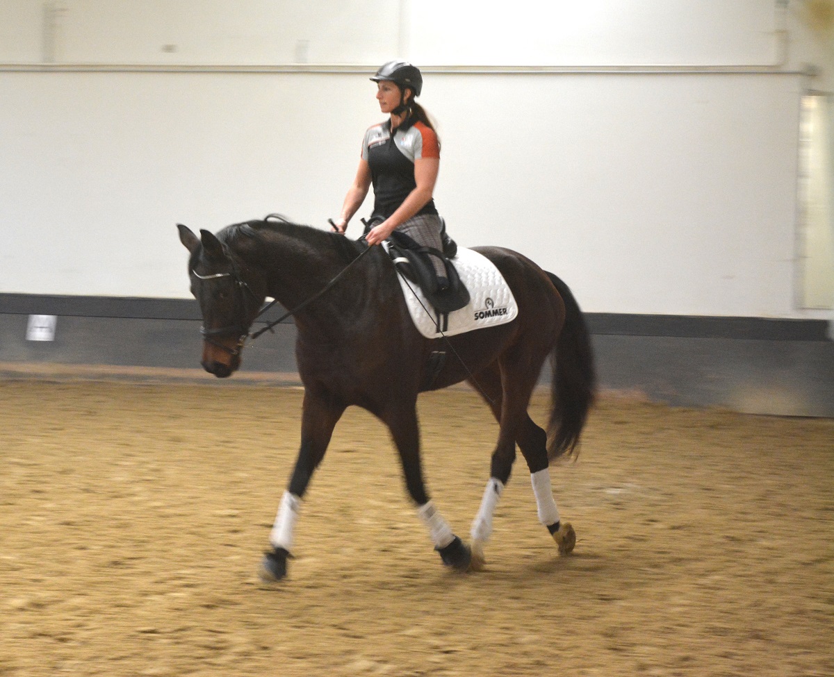 Erfolgreiches Kadertraining fr Para-Reiterinnen in Langenhahn