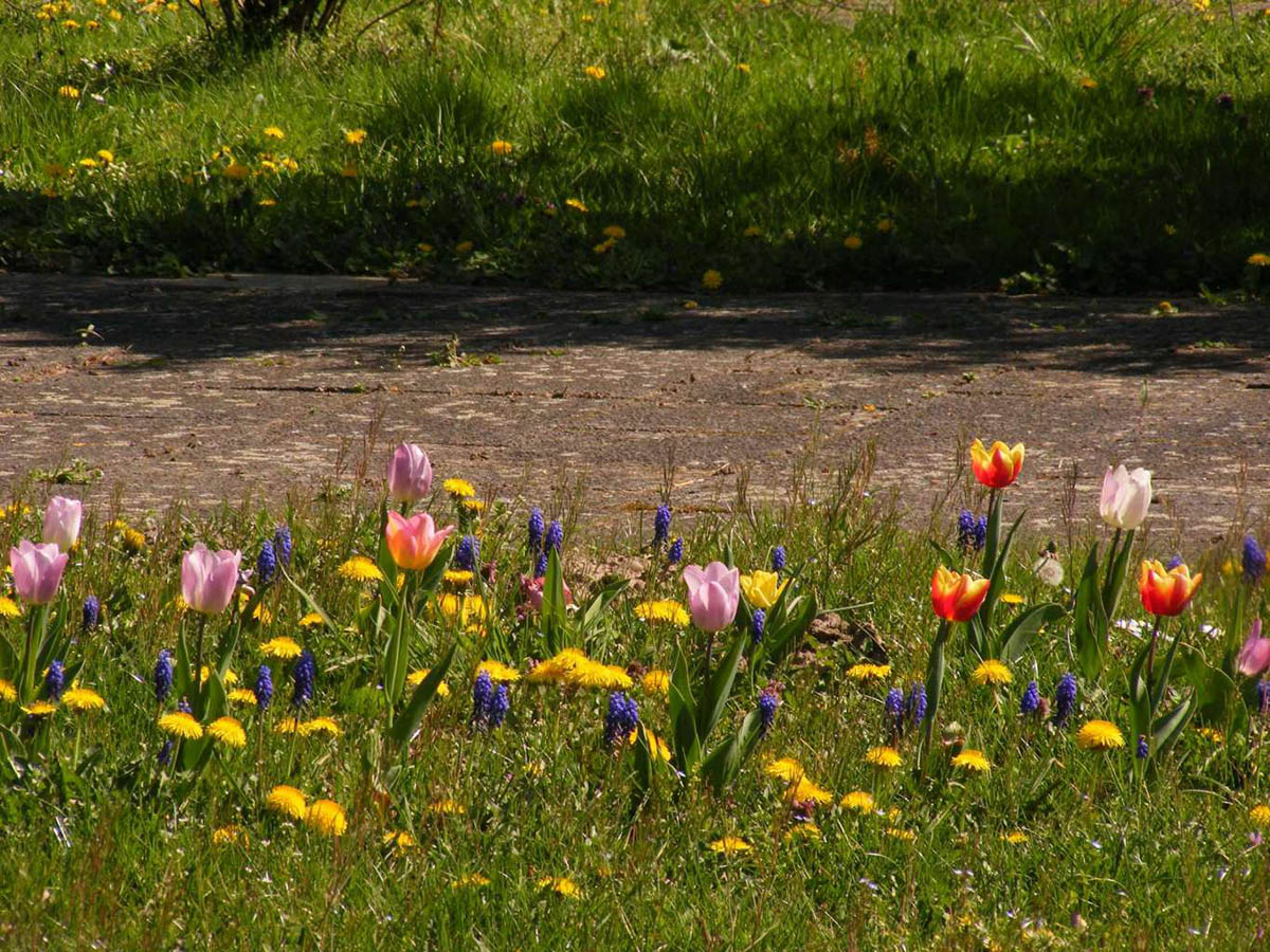 Es geht wieder los im Brgerpark Unkel