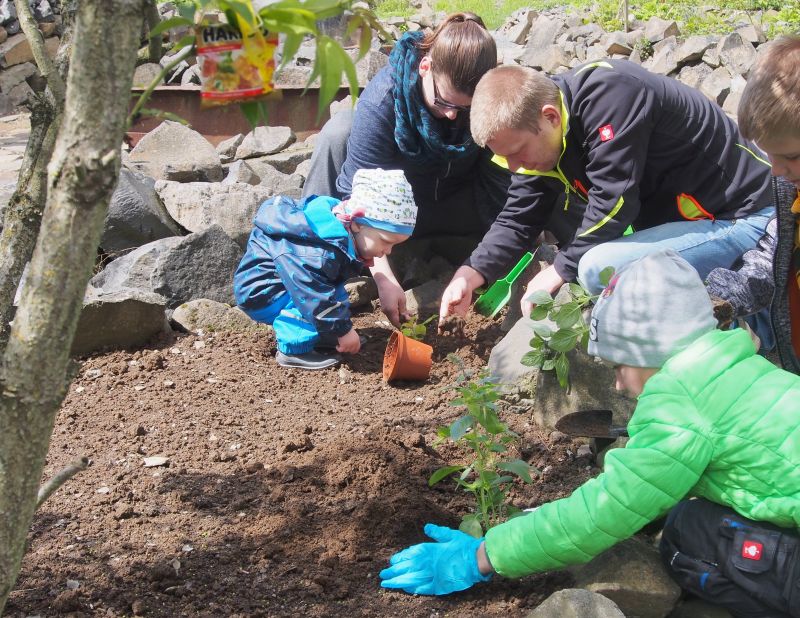 Kinder pflanzen Kruter fr Mensch und Tier