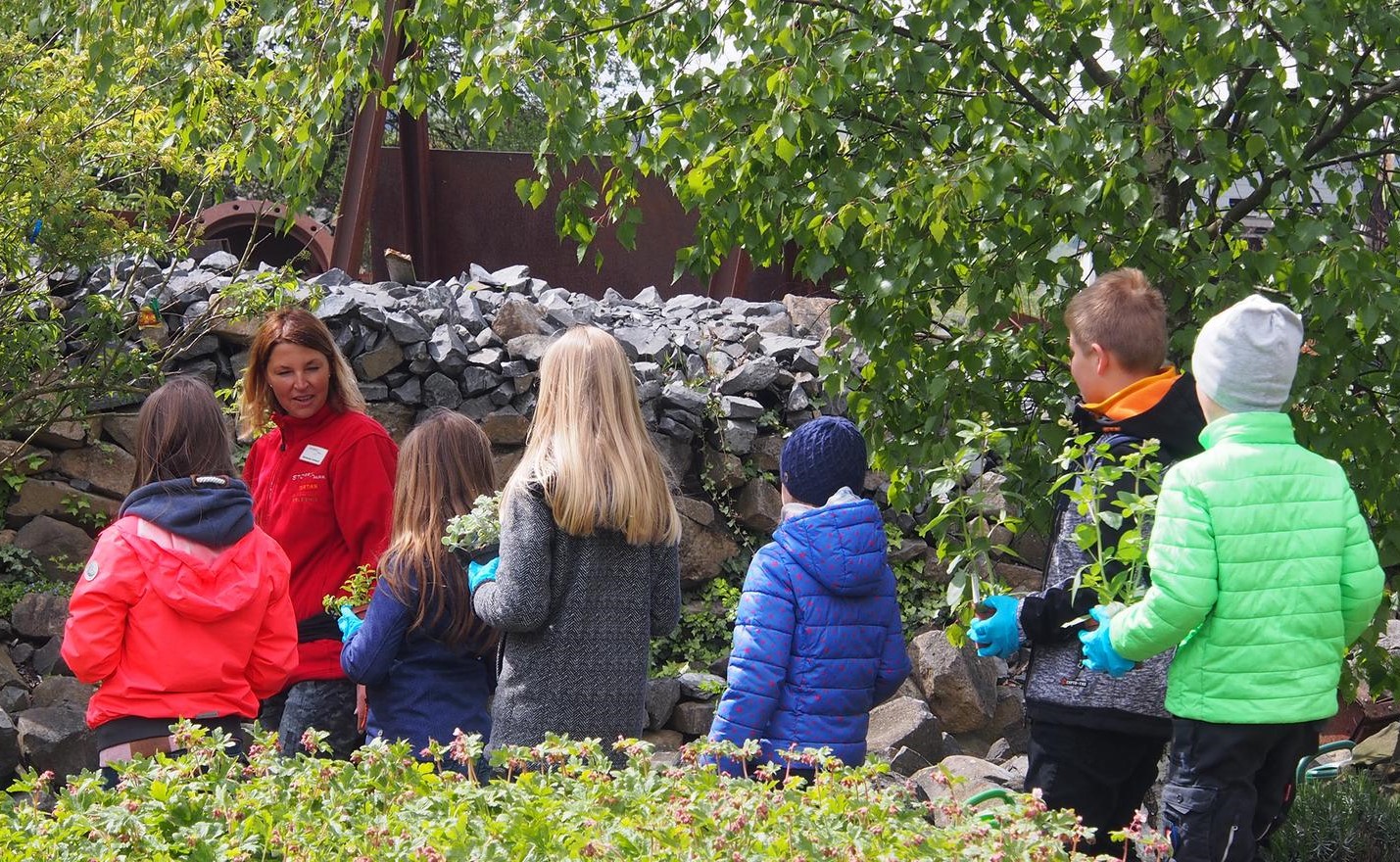 Kinder und Erwachsene sind am 21. Mai zum Pflanztag rund um den Marienkfer eingeladen. (Foto: Tatjana Steindorf)