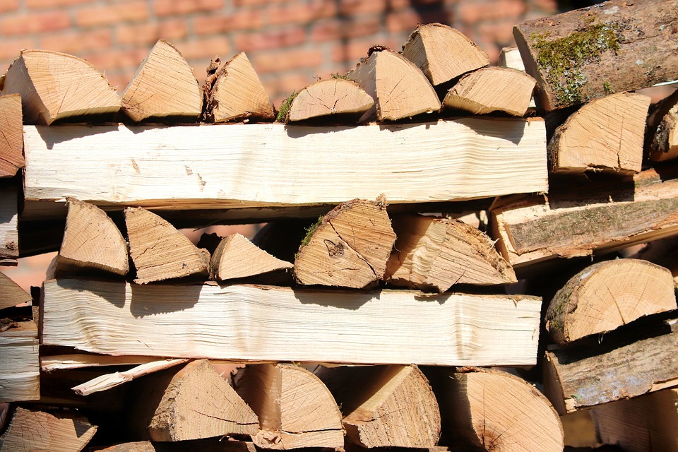 Infoabend in Montabaur: Effizientes Heizen mit Holz