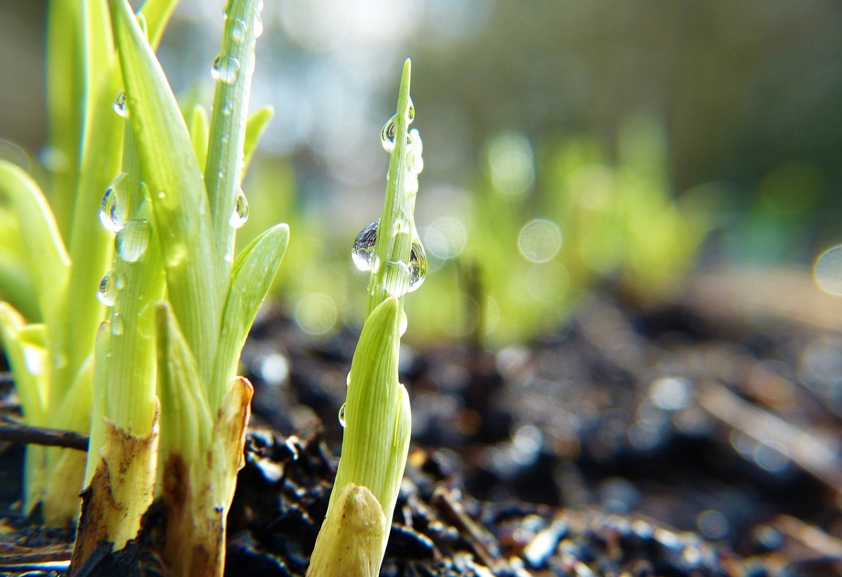 Klimaschutzkonzept fr die Verbandsgemeinde Asbach beschlossen