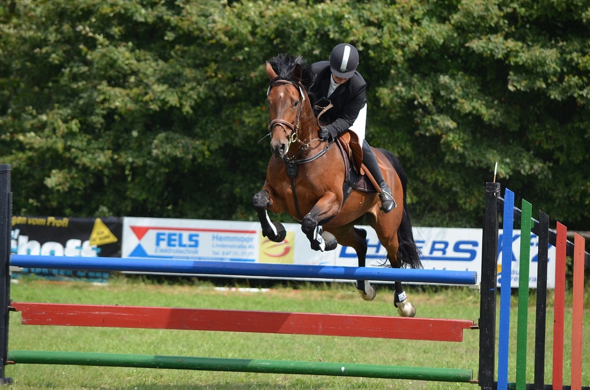 Zweisterne-S-Springen beim Reitturnier in Neuwied