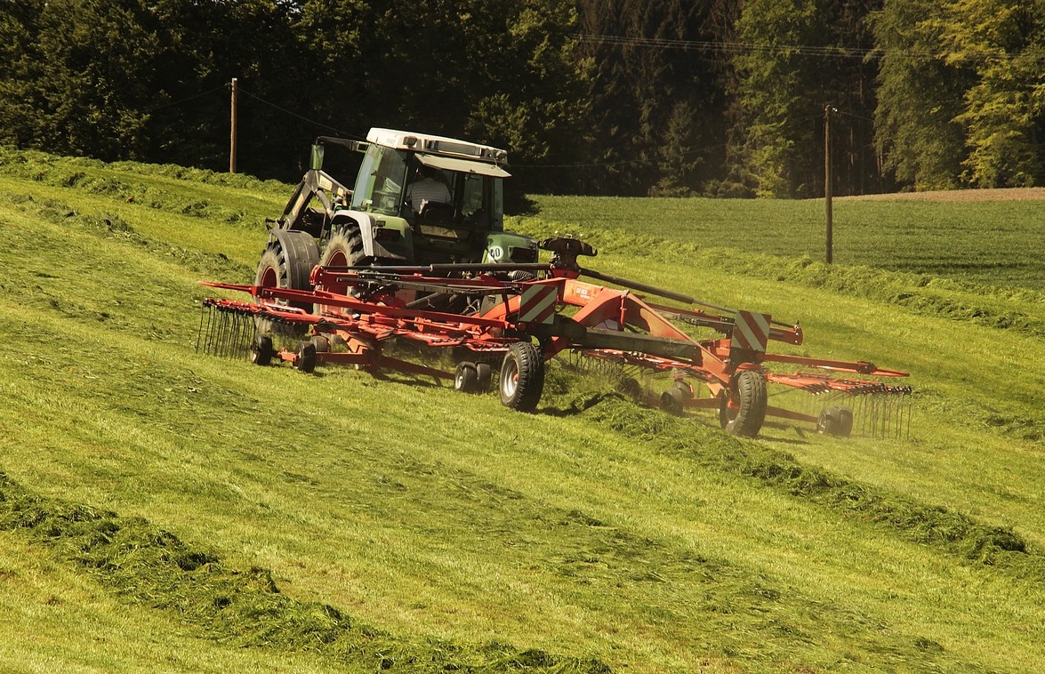 Agrarfrderung 2024: Jetzt Landwirtschaftlichen Elektronischen Antrag (LEA) stellen