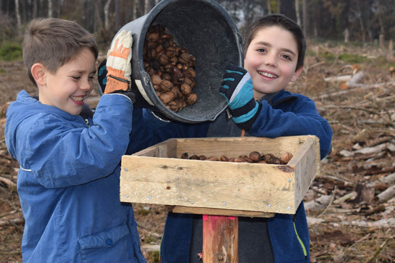 Jugendliche aus dem Puderbacher Land helfen dem Wald