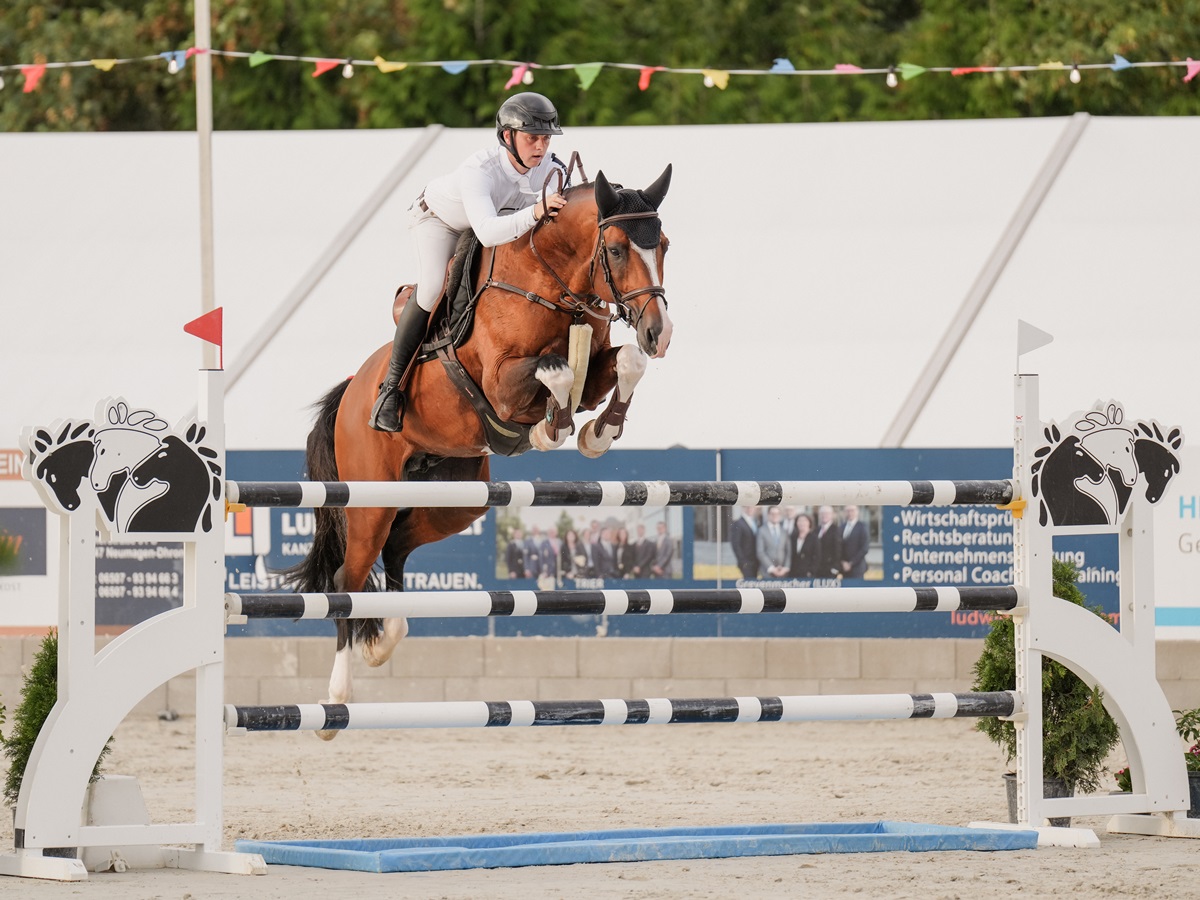 Springreiter Gerrit Flcken mit seinem Pferd beim Springen (Foto: Pressefoto Gerrit Flcken)