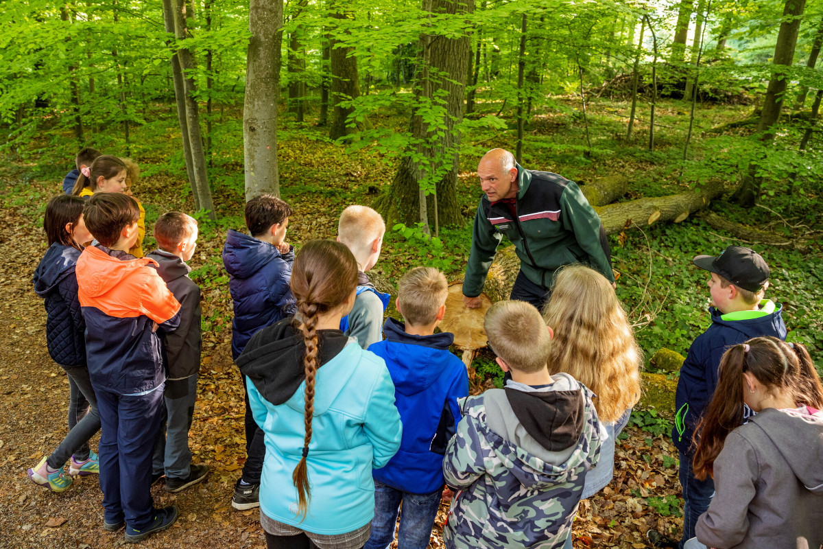 Der kologie des Waldes auf der Spur. (Foto: Forstamt Neuhusel)