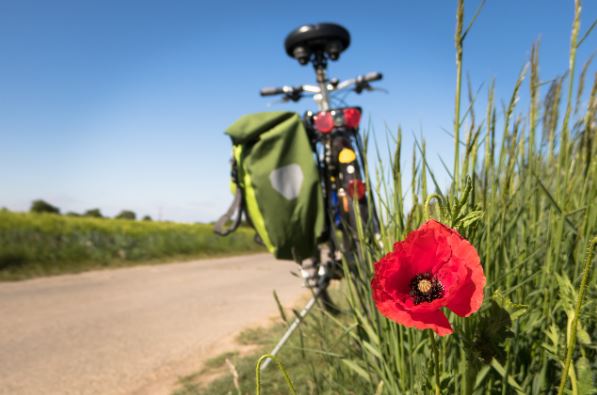 Neue Bodenmarkierung fr vom Radverkehr genutzte Wirtschafts- und Betriebswege