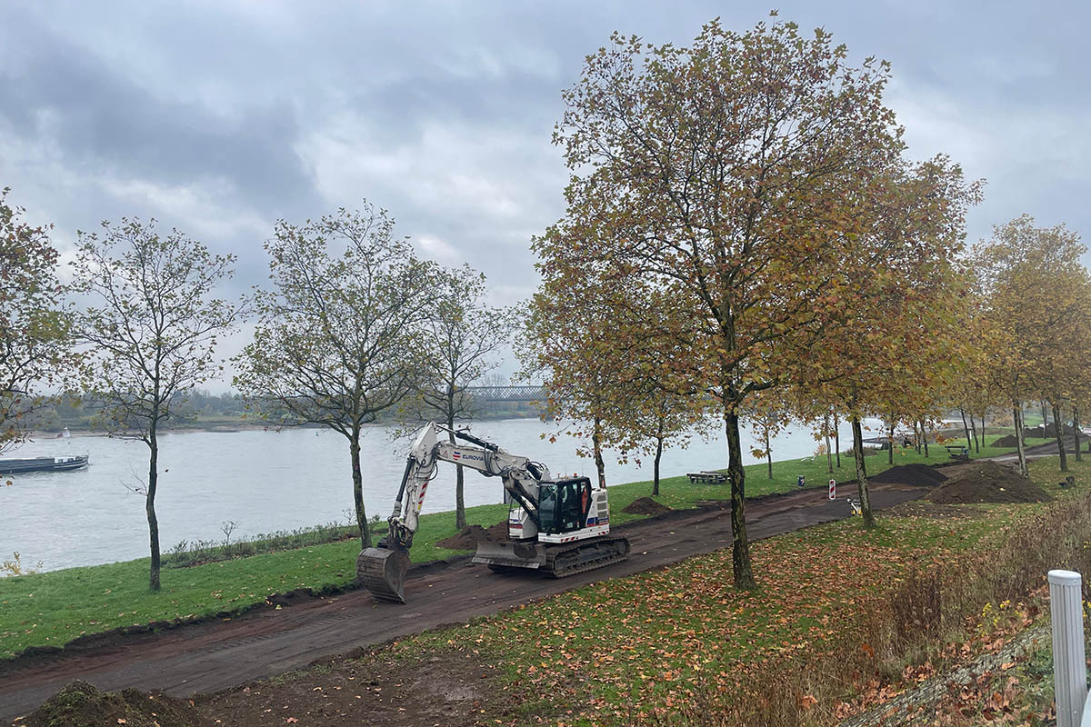 Lckenschluss am Rheinufer-Radweg in Engers 