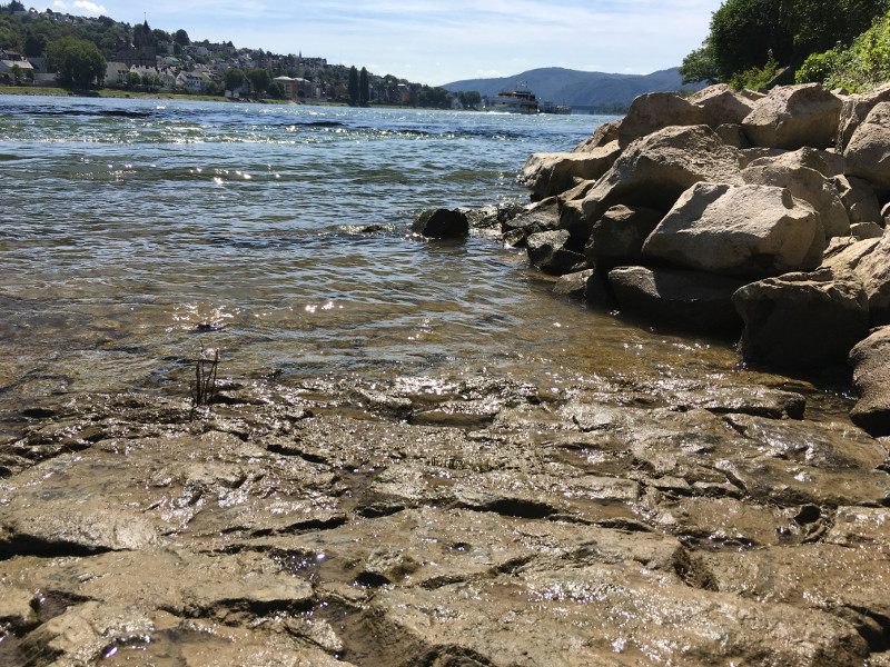 Flussufer - wie hier am Rhein - verlocken oft zum Baden, knnen aber Gefahren bergen. Foto: SGDN