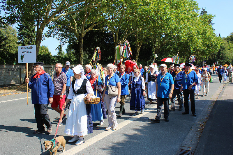 Zahlreiche Wller bei Deutschem Wandertag