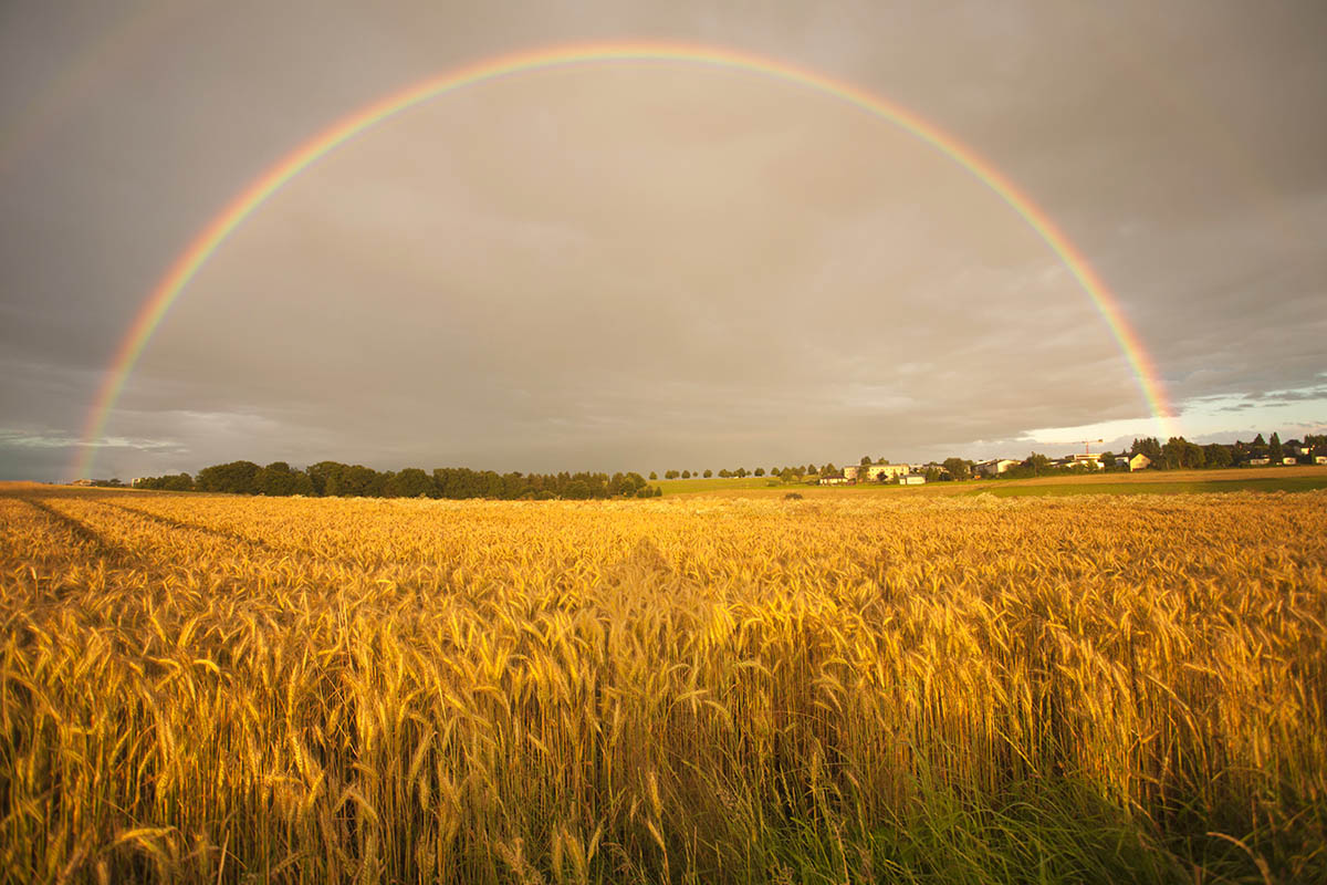 Ein Regenbogen war in diesem Sommer schon fters zu sehen. Foto: Wolfgang Tischler 