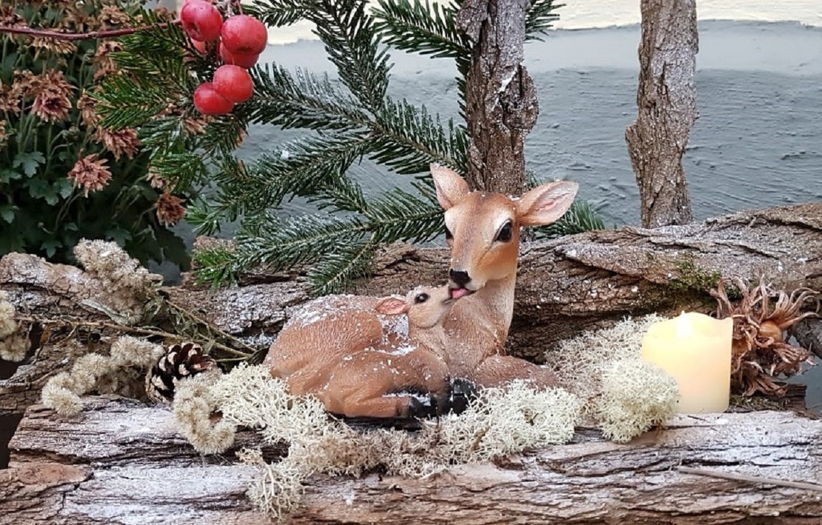 Die Weihnachtsstnde des Tierschutz Siebengebirge laden zum Vorbeischauen ein