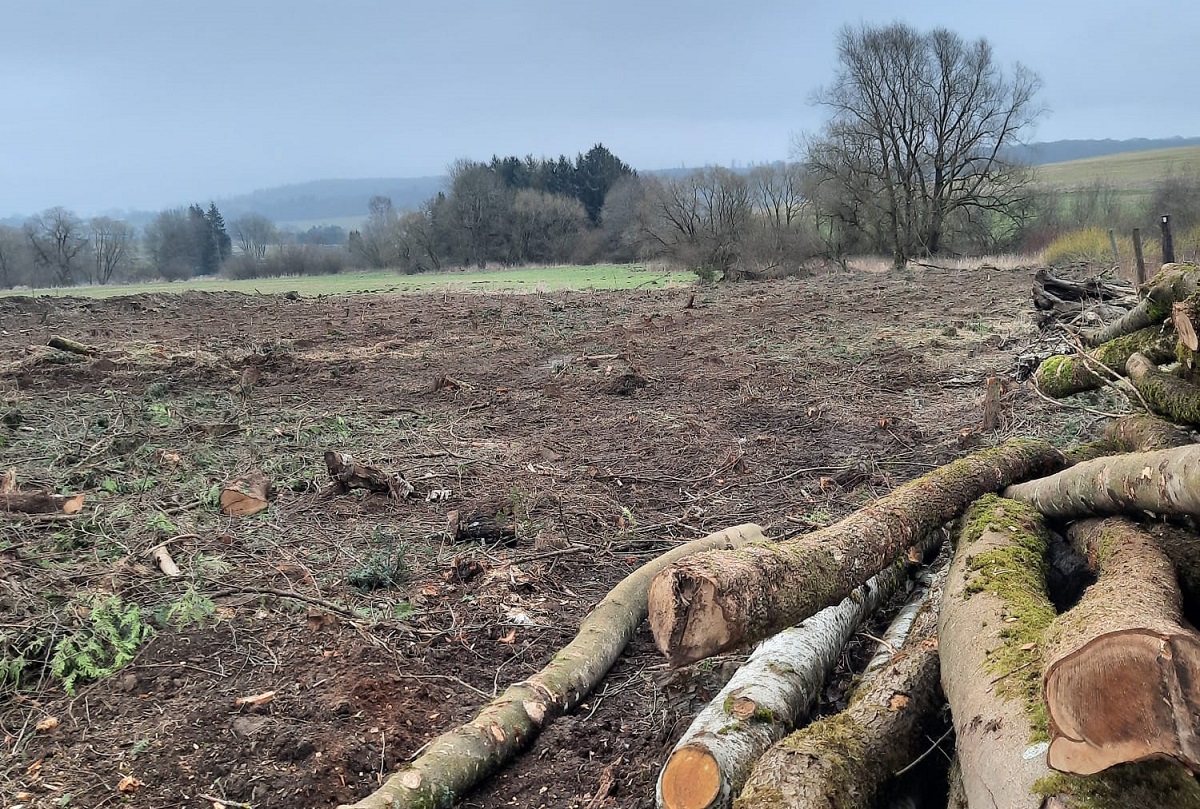 Verdete Innenstadt, kaputte Natur: Renneroder haben Petition gestartet