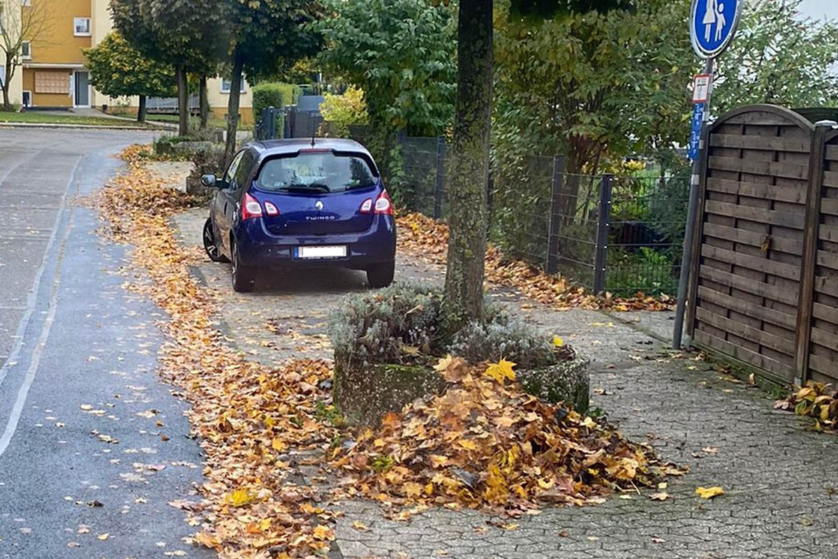 Herbstlaub gehrt nicht auf die Strae - Falsche "Entsorgung" kann teuer werden