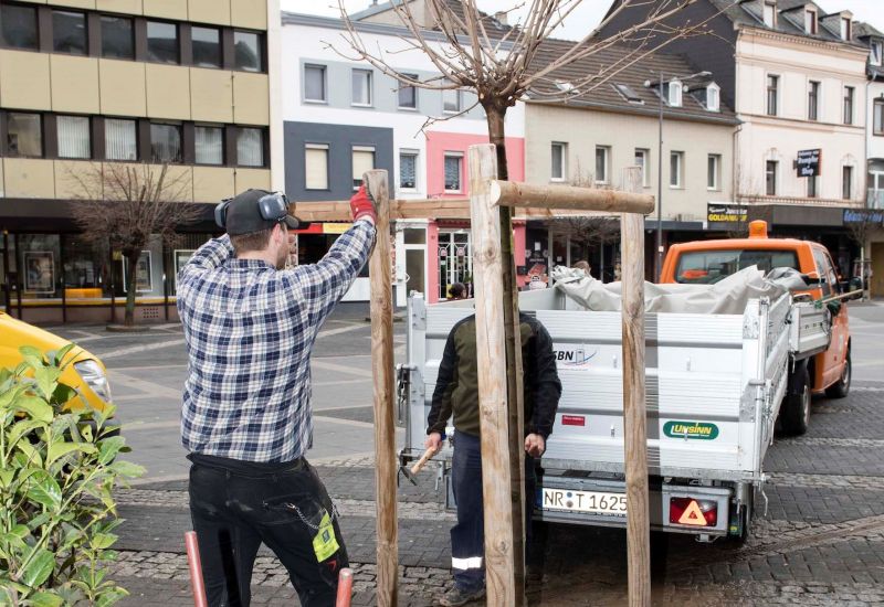 Baumpflanzaktion auf dem Luisenplatz. Foto: SBN