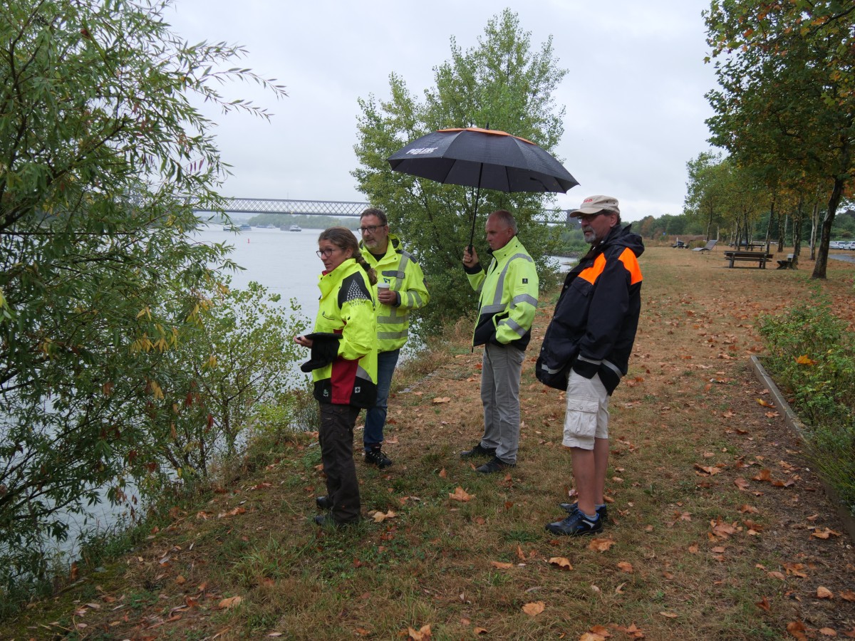 An der Rheinpromenade in Engers werden die Uferbschungen zurckgeschnitten. (v.l.n.r.) Katja Pies vom Bundesforst, Lothar Nies vom WSV, Thomas Riehl von den SBN und Martin Schmidt vom WSV treffen sich zur Begehung. (Foto: Dennis Steinhardt/SWN)