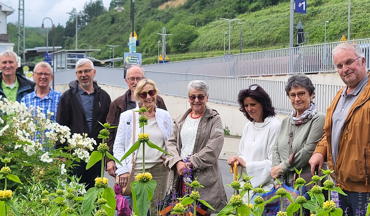 Die Teilnehmenden bestaunen ein insektenfreundliches Staudenbeet in Nhe des Linzer Bahnhofs. (Foto: Claudia Felten-Biermann)