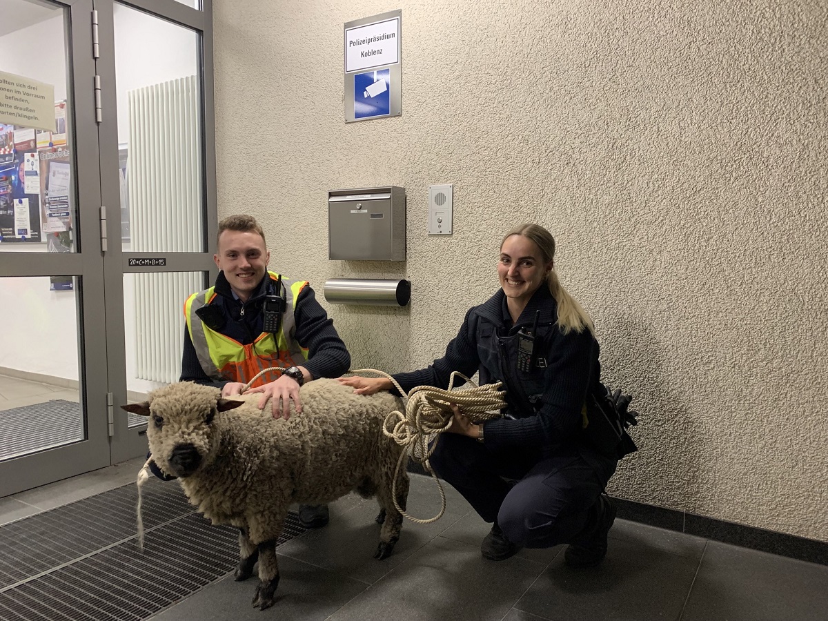 (Foto: Polizeiinspektion Betzdorf)