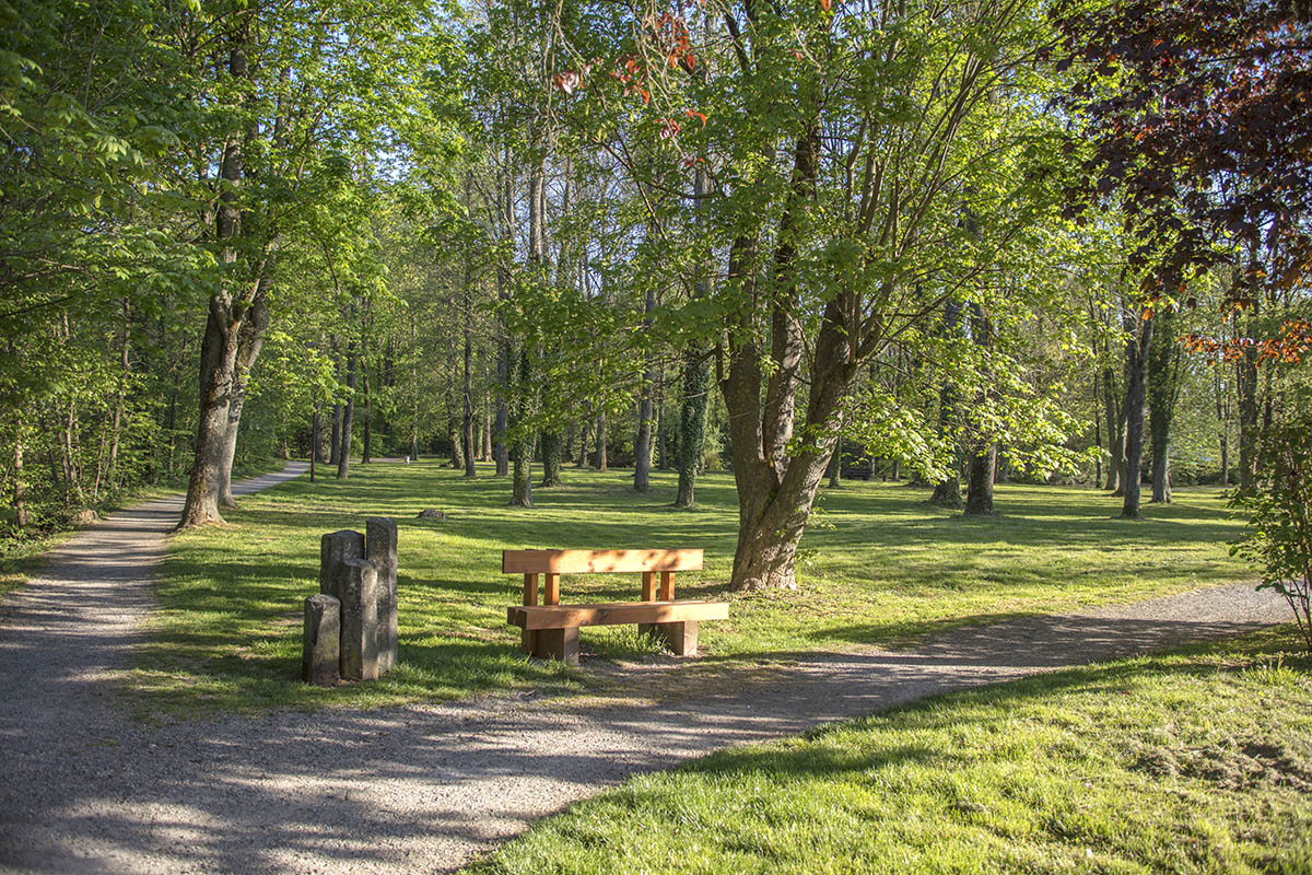 Kleinere Manahmen werden zum Beispiel im Schlosspark erfolgen. Foto: Wolfgang Tischler