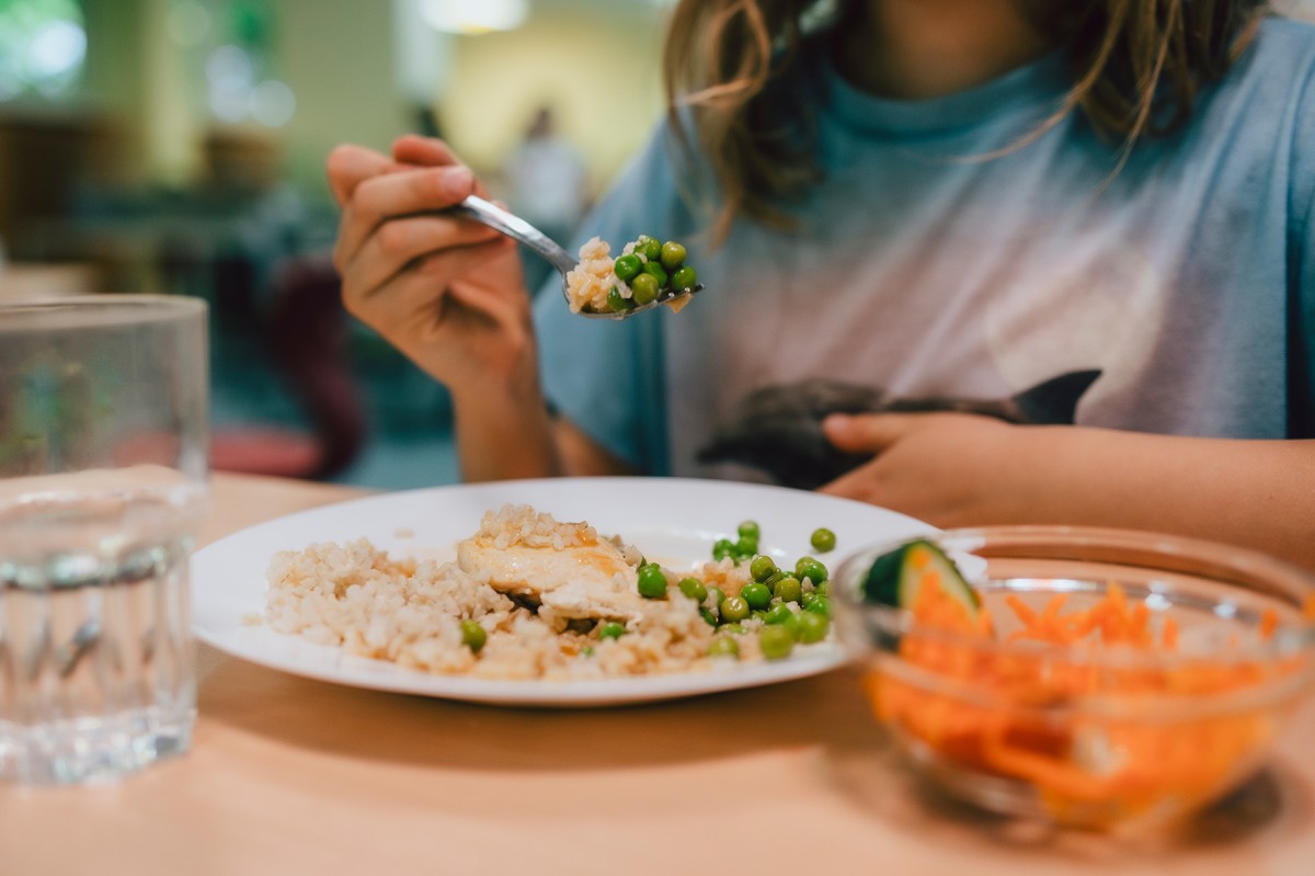 MdB-Kandidaten sollen sich fr Gratis-Essen in Kitas und Schulen im Kreis Altenkirchen starkmachen