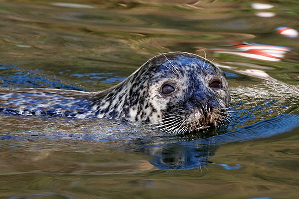 Familienfest am 1. Mai im Zoo Neuwied