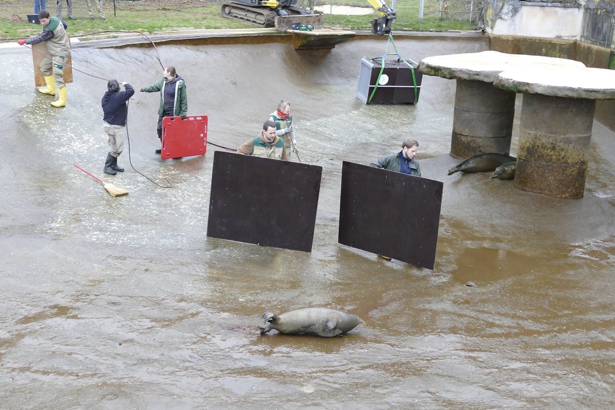 (Fotos: Zoo Neuwied)