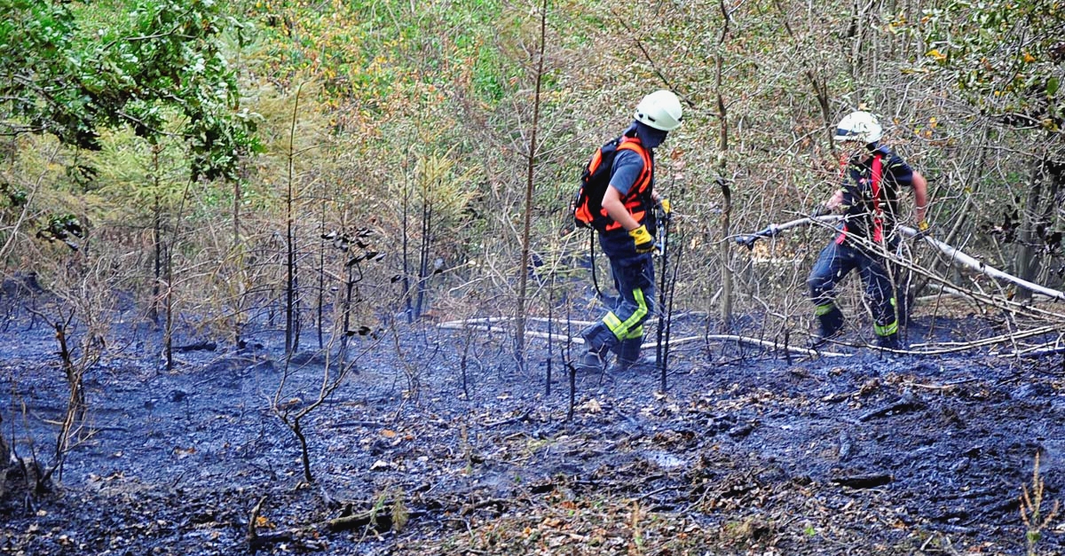 Waldbrand in Seifen: Schwierige Anfahrt fr die rund 75 Einsatzkrfte 