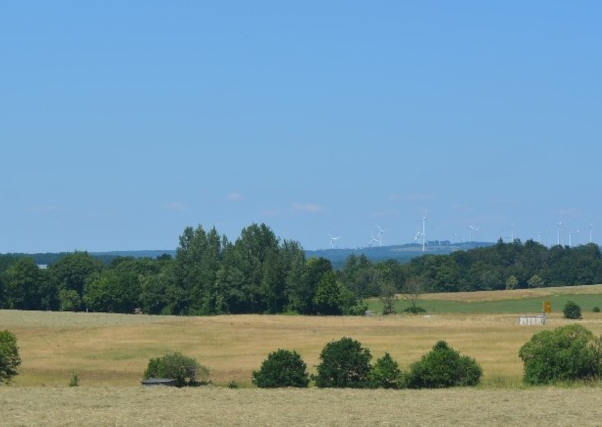 Hier soll das Gewerbegebiet Grieing entstehen. Die Plne sind umstritten. (Foto: Archiv Wolfgang Rabsch)