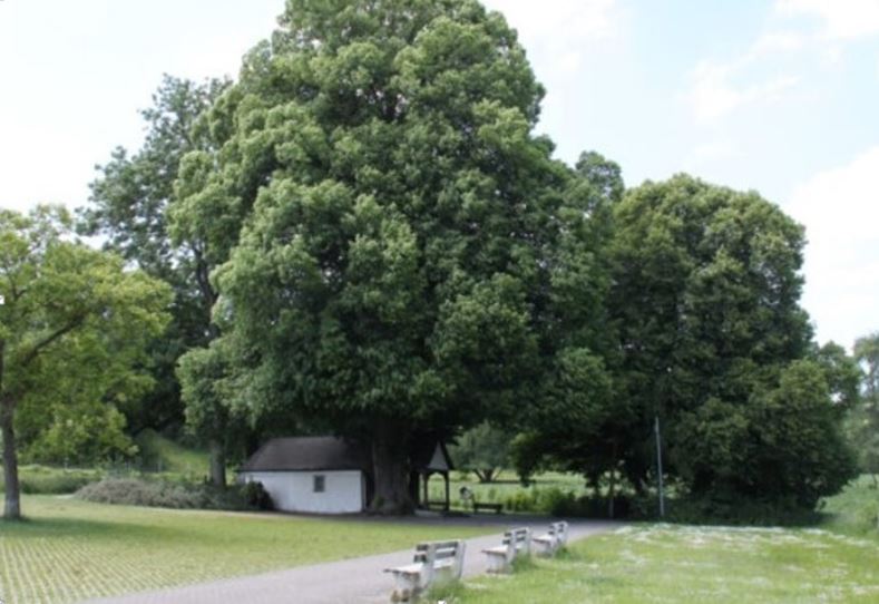 Seniorenwanderung des Westerwald-Verein Selters