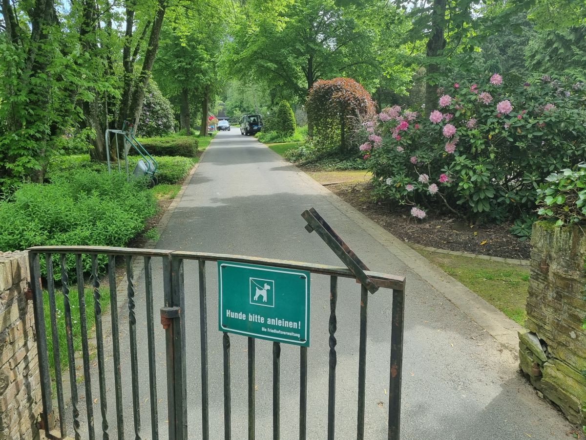 Altenkirchener Waldfriedhof wird in den kommenden Jahren aufgehbscht