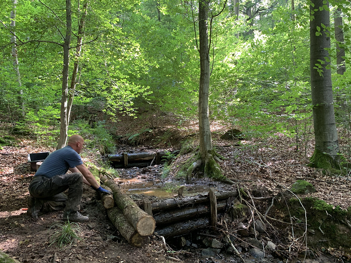 Fr lebendige, feuchte Wlder packen wir es gemeinsam an: Unter diesem Motto werden Stauschwellen aus Holz unter fachkundiger Anleitung gebaut, aber auch Staumglichkeiten ohne Motosge mit bloen Hnden und Erlenpflanzen. Foto: Landesforsten.RLP.de / Phillip Holl