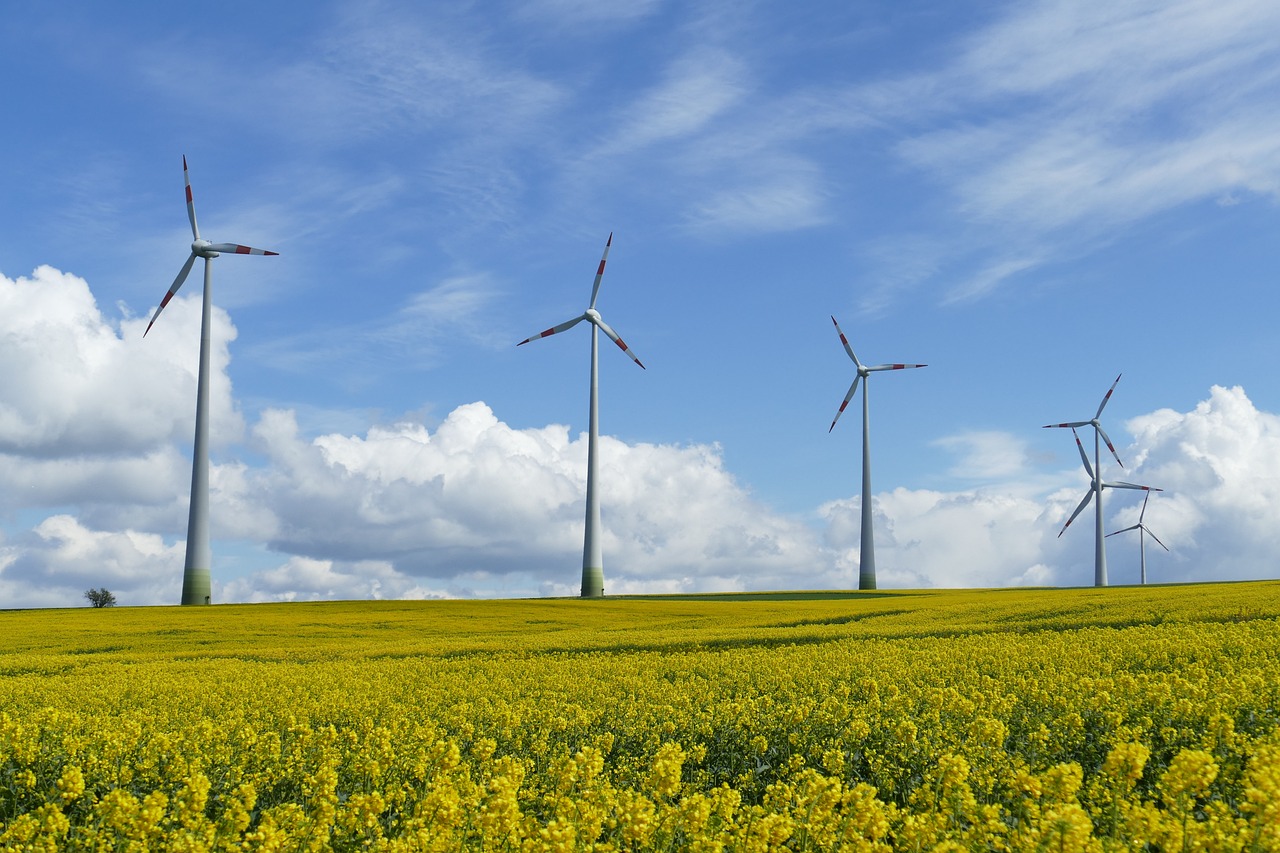 "Energiepark Stegskopf"? Kreis-CDU sieht ideale Bedingungen fr Windkraft