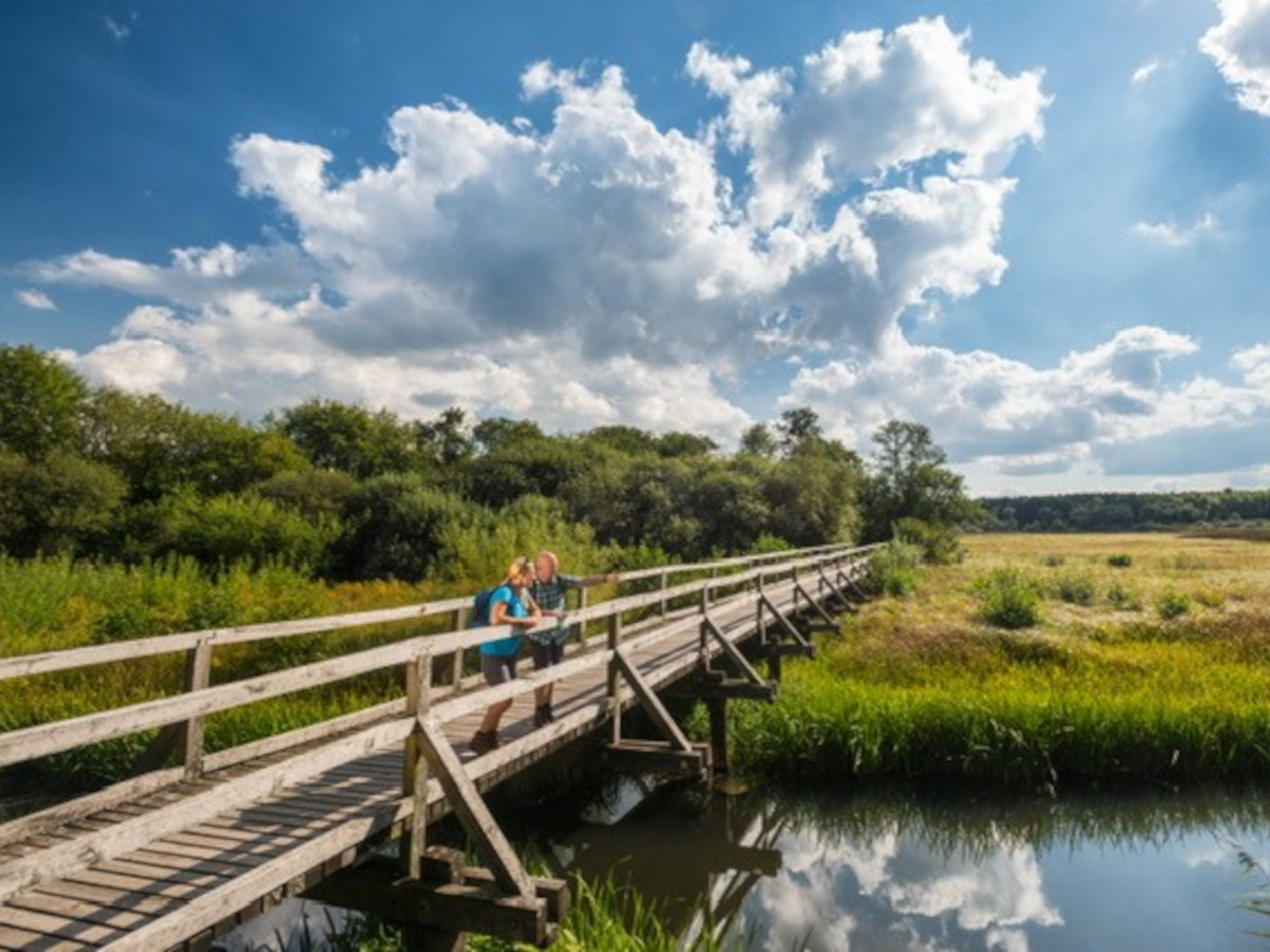 Stegsperrung am Dreifelder Weiher: Wanderwege betroffen