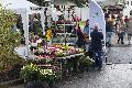 Groer Andrang beim traditionellen Bauernmarkt in Meinborn