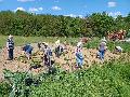 Ein besonderer Tag im Klimagarten in Obererbach