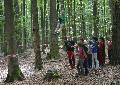 Mehr als nur Ferien: Kinder lernen Achtsamkeit und Naturverstndnis im Montabaurer Stadtwald