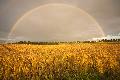 Westerwaldwetter: Regen, Sonne und auch Gewitter