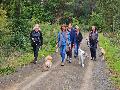 Wanderung mit und ohne Hund um Bad Honnef am 16. Juni