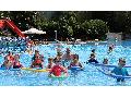 Ferienfreizeit: Groer Andrang auf Seepferdchen-Schwimmkurse in Oberbieber
