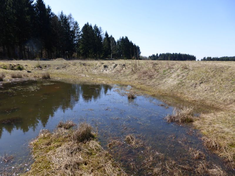 153 Hektar fr den Naturschutz bei Westerburg