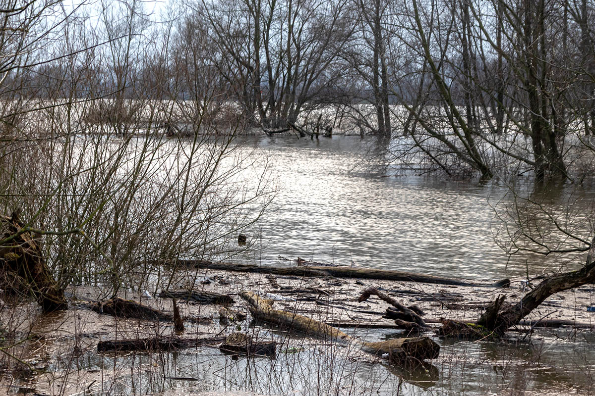 Foto: Kreisverwaltung