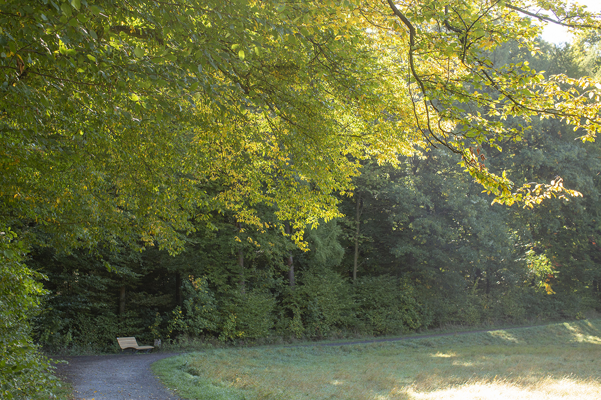 Westerwaldwetter: Erste Bodenfrste mglich