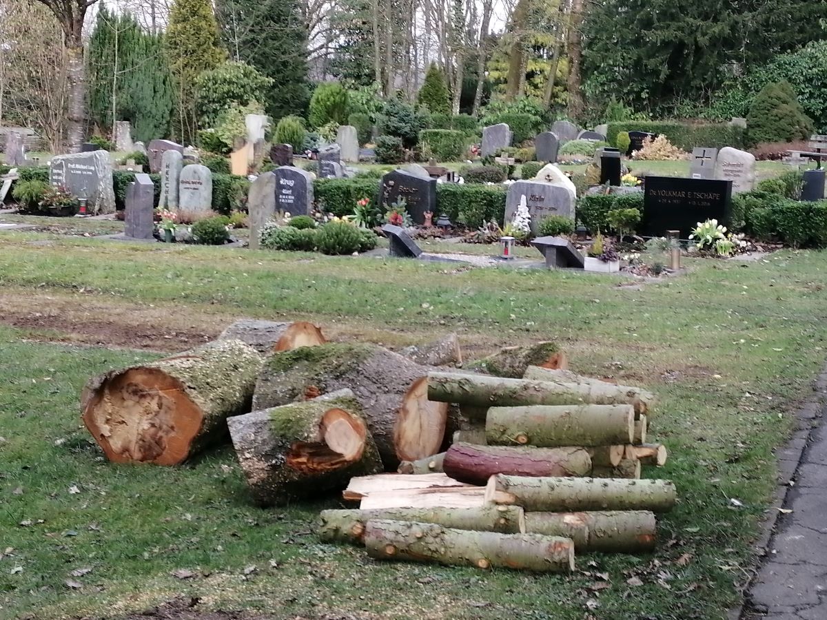 Altenkirchener Friedhof: Alleecharakter an einem der Hauptwege erhalten