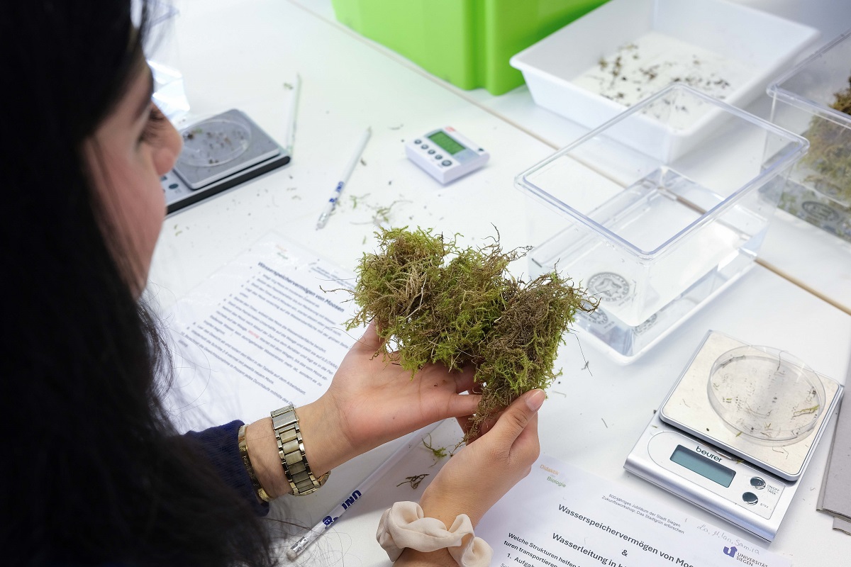 In den Laboren der Biologie-Didaktik experimentierten die Schler zum Thema Stadtgrn an verschiedensten heimischen Pflanzenarten  unter anderem auch an Moos, das besonders gut Wasser speichern kann. (Fotos: Universitt Siegen)