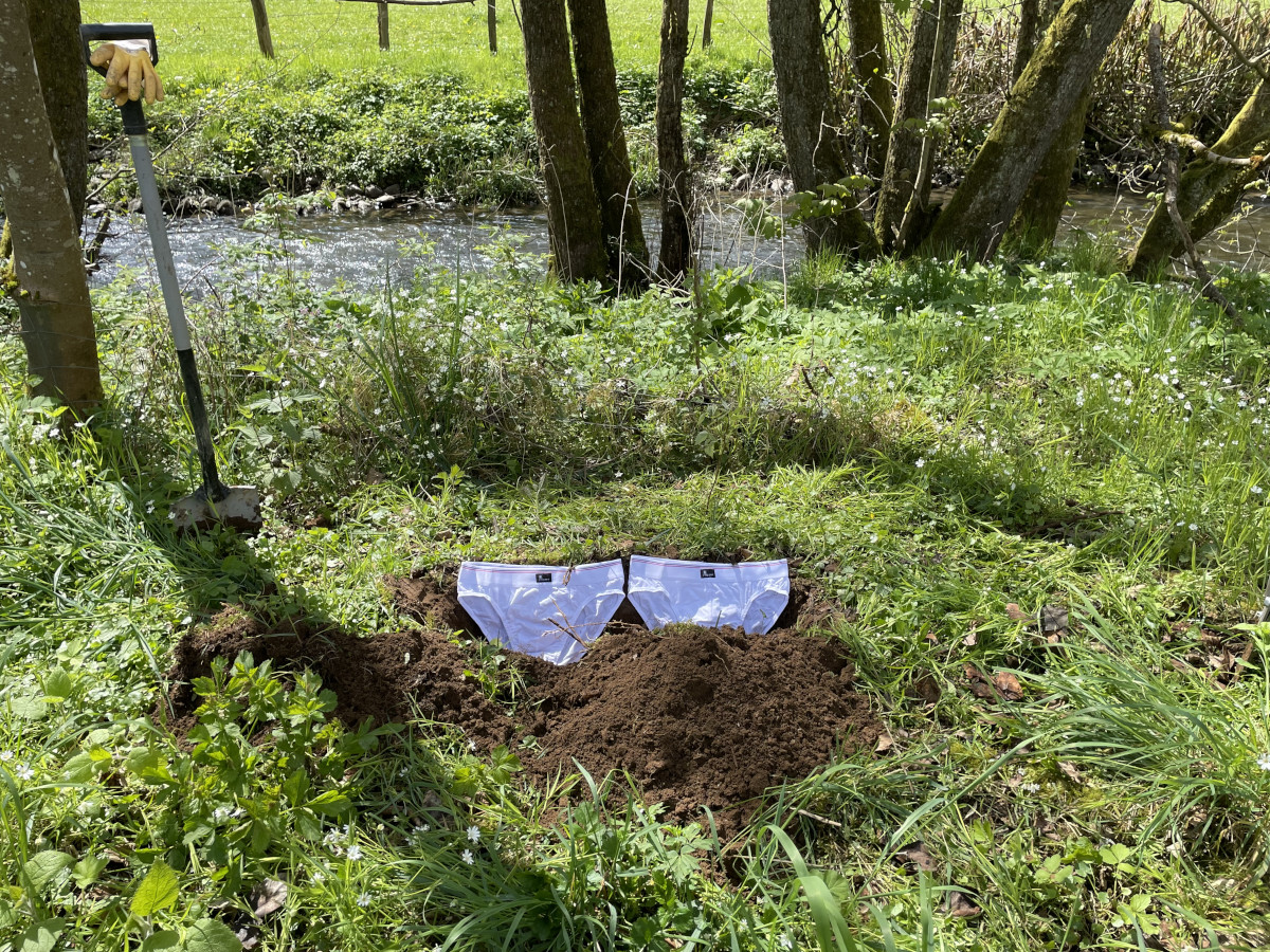 Unterhose wird fr die Bodenuntersuchung im Wald vergraben.(Fotos: Pia Schlunk)