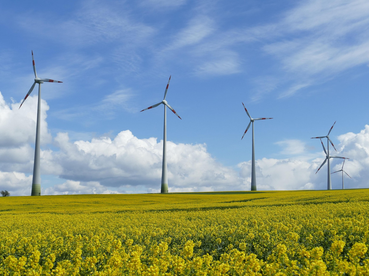 Positiver Trend: Windenergie-Ausbau in Rheinland-Pfalz nimmt Fahrt auf